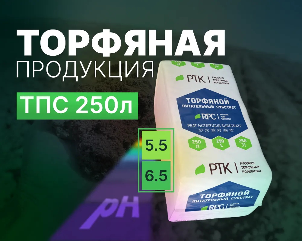 НОВИНКА!
